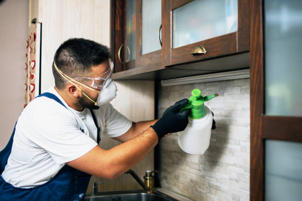 Best Pest Prevention Services  in Swarthmore, PA