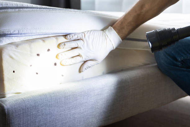 Pest Prevention Services in Swarthmore, PA
