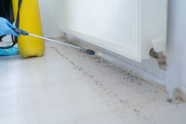 Professional Pest Control in Swarthmore, PA