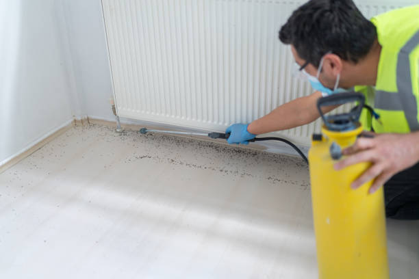 Best Pest Removal Services  in Swarthmore, PA