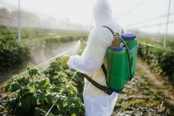 Best Insect Control  in Swarthmore, PA